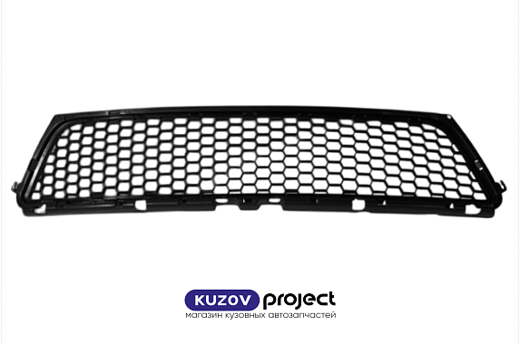 Решетка в бампер Renault Sandero 2009-2014 / Stepway 2010-2014 (Тайвань)